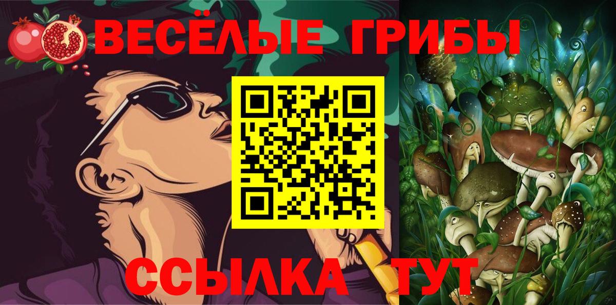 A-PVP Тобольск