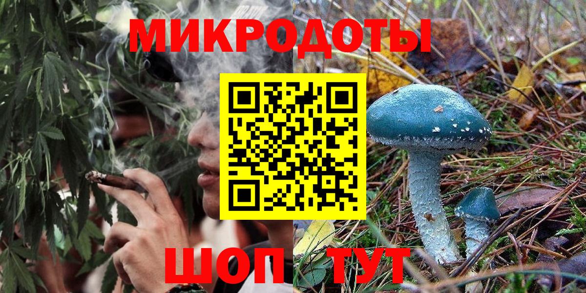 Галлюциногенные грибы Psilocybe Тобольск