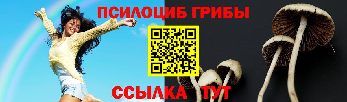 Галлюциногенные грибы ЛСД  Вход с VPN  купить  сайты  Тобольск 